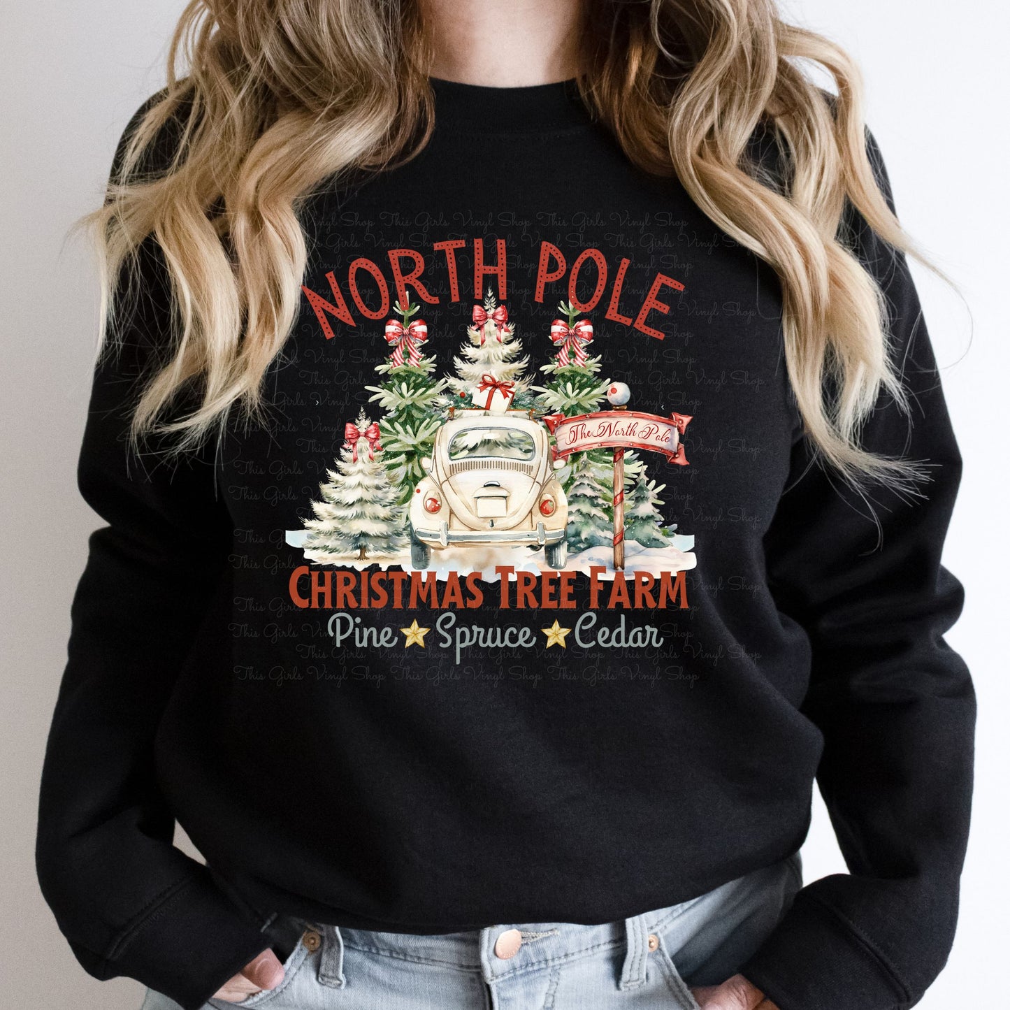 North Pole